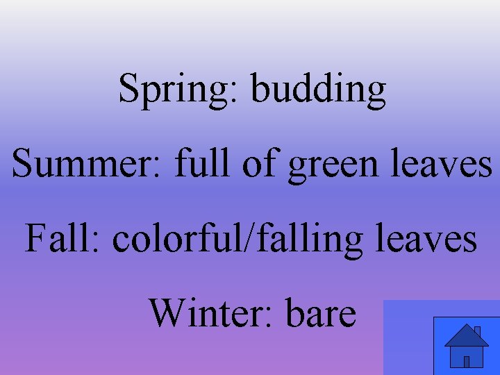 Spring: budding Summer: full of green leaves Fall: colorful/falling leaves Winter: bare 