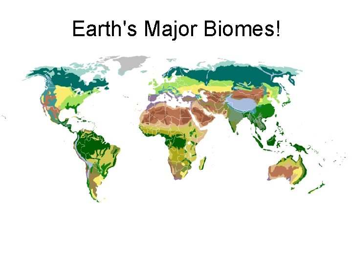Earth's Major Biomes! 