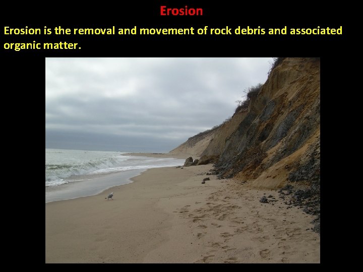 Erosion is the removal and movement of rock debris and associated organic matter. 