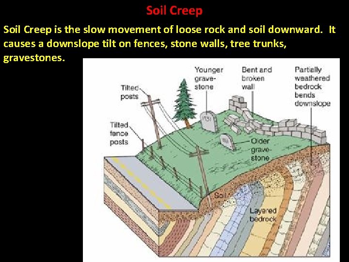 Soil Creep is the slow movement of loose rock and soil downward. It causes