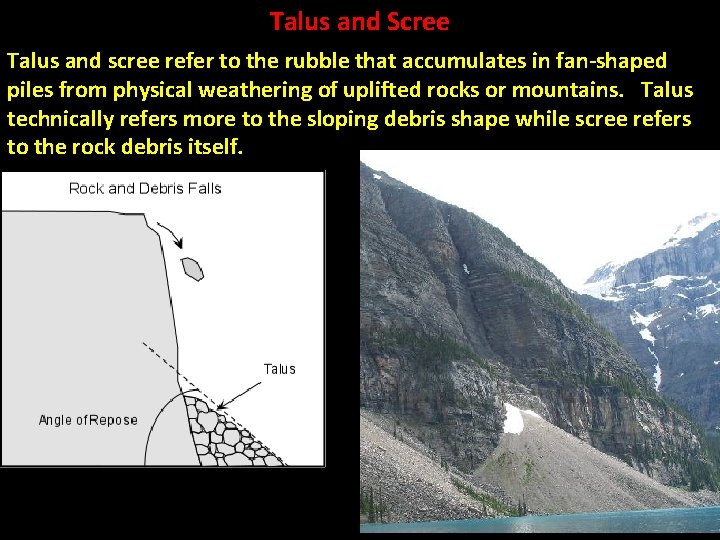 Talus and Scree Talus and scree refer to the rubble that accumulates in fan-shaped
