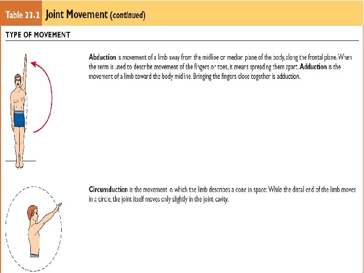 Table 23. 2 Joint Movement (continued ) Copyright © 2009 Wolters Kluwer Health |