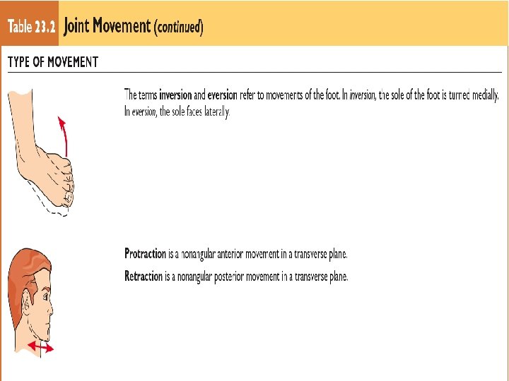 Table 23. 2 Joint Movement (continued ) Copyright © 2009 Wolters Kluwer Health |