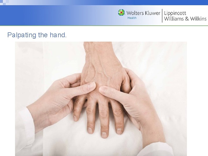 Palpating the hand. Copyright © 2009 Wolters Kluwer Health | Lippincott Williams & Wilkins