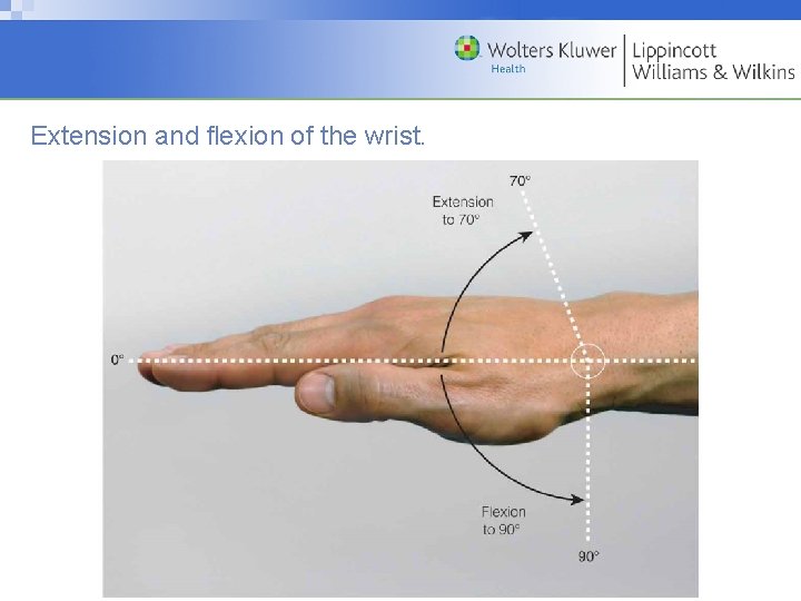 Extension and flexion of the wrist. Copyright © 2009 Wolters Kluwer Health | Lippincott