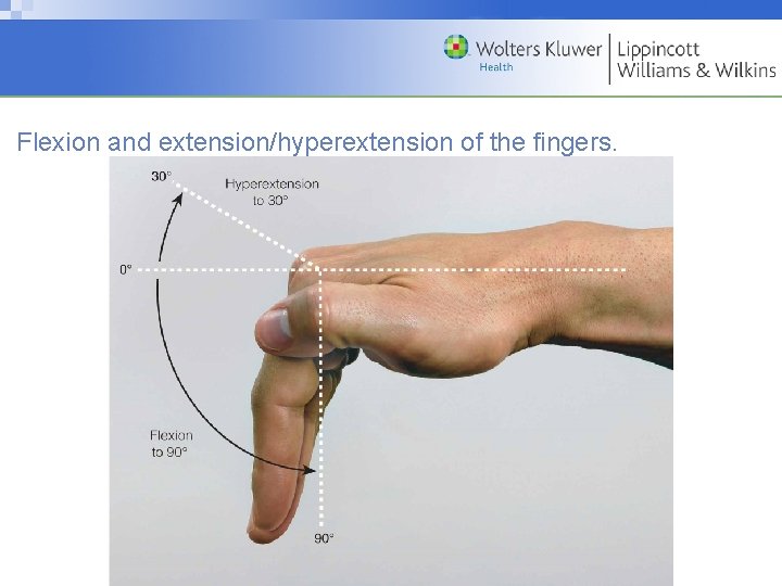 Flexion and extension/hyperextension of the fingers. Copyright © 2009 Wolters Kluwer Health | Lippincott