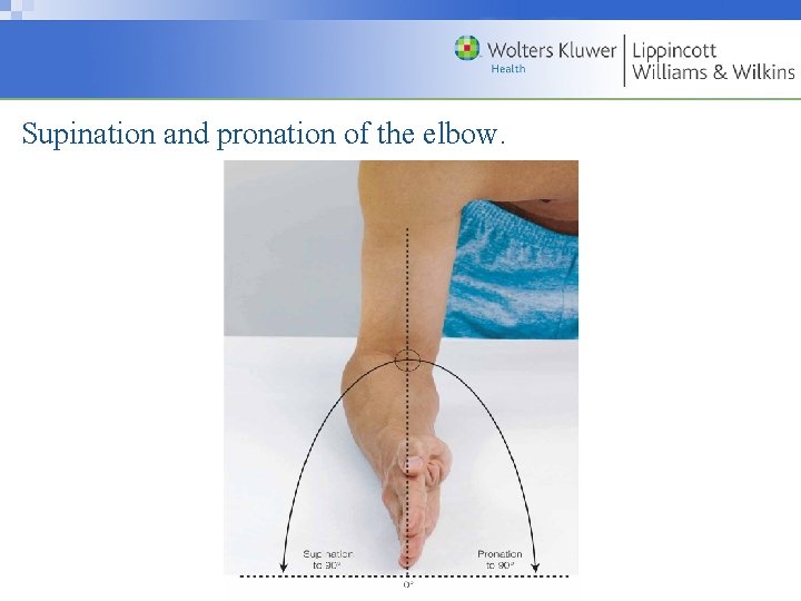 Supination and pronation of the elbow. Copyright © 2009 Wolters Kluwer Health | Lippincott