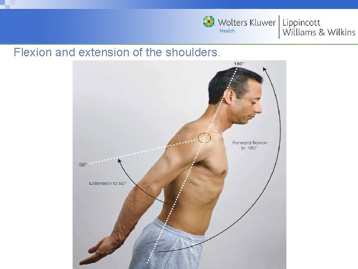 Flexion and extension of the shoulders. Copyright © 2009 Wolters Kluwer Health | Lippincott