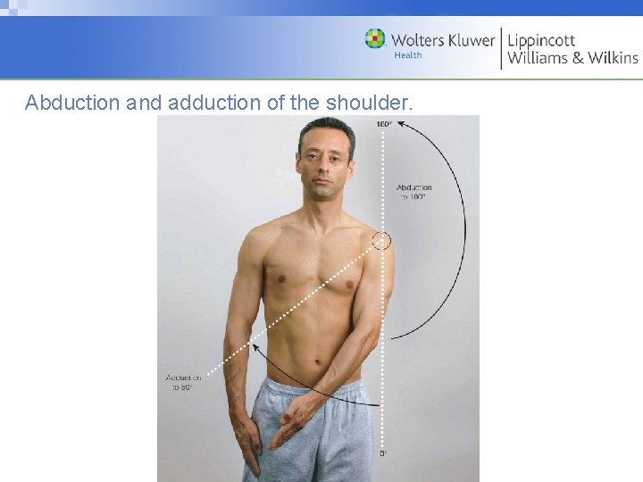 Abduction and adduction of the shoulder. Copyright © 2009 Wolters Kluwer Health | Lippincott