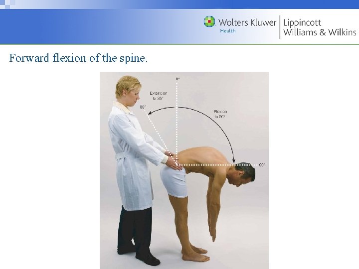 Forward flexion of the spine. Copyright © 2009 Wolters Kluwer Health | Lippincott Williams