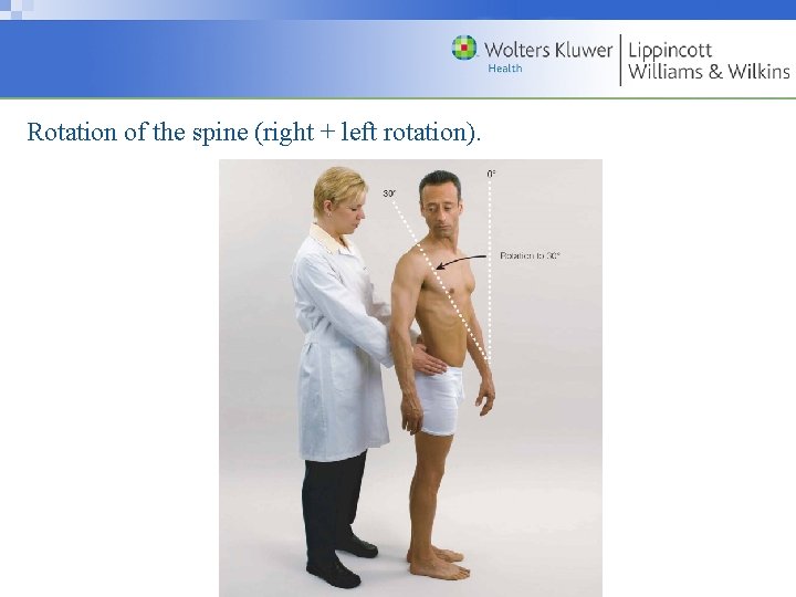 Rotation of the spine (right + left rotation). Copyright © 2009 Wolters Kluwer Health
