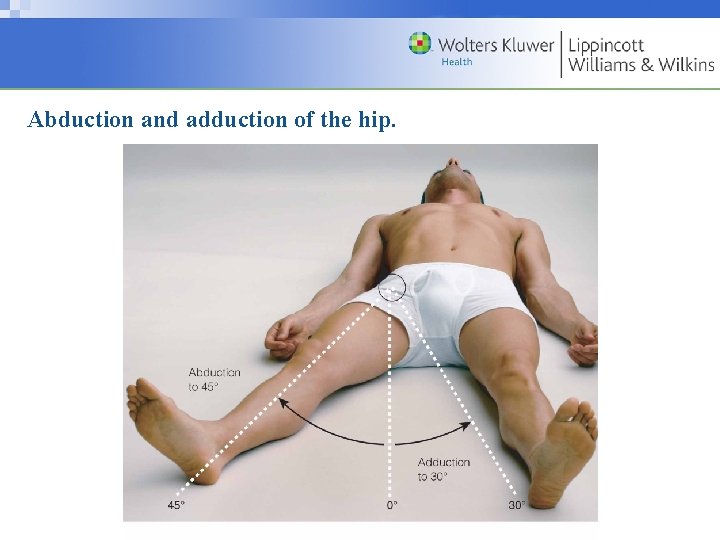 Abduction and adduction of the hip. Copyright © 2009 Wolters Kluwer Health | Lippincott