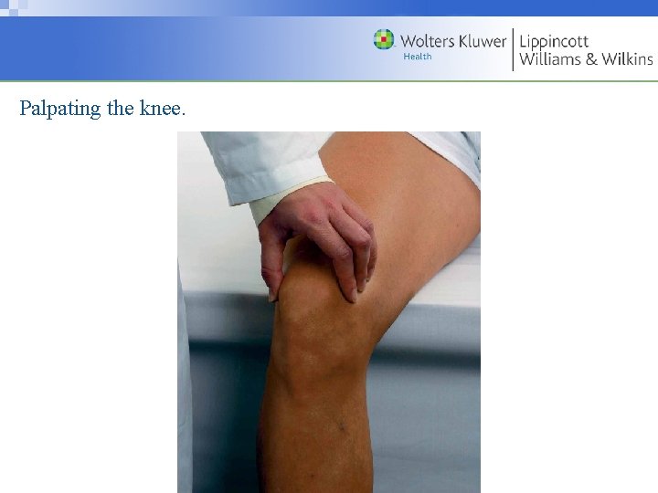 Palpating the knee. Copyright © 2009 Wolters Kluwer Health | Lippincott Williams & Wilkins