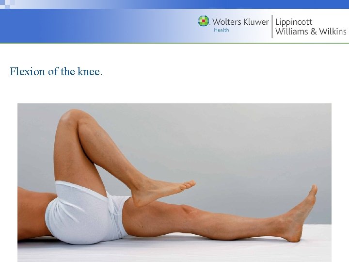 Flexion of the knee. Copyright © 2009 Wolters Kluwer Health | Lippincott Williams &