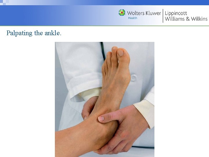 Palpating the ankle. Copyright © 2009 Wolters Kluwer Health | Lippincott Williams & Wilkins