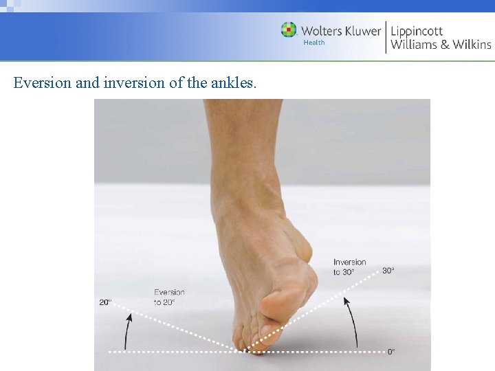 Eversion and inversion of the ankles. Copyright © 2009 Wolters Kluwer Health | Lippincott