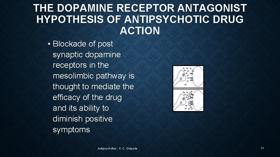 THE DOPAMINE RECEPTOR ANTAGONIST HYPOTHESIS OF ANTIPSYCHOTIC DRUG ACTION • Blockade of post synaptic