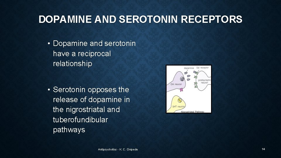 DOPAMINE AND SEROTONIN RECEPTORS • Dopamine and serotonin have a reciprocal relationship • Serotonin