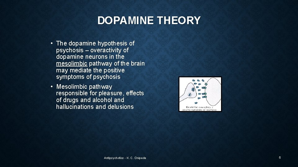 DOPAMINE THEORY • The dopamine hypothesis of psychosis – overactivity of dopamine neurons in