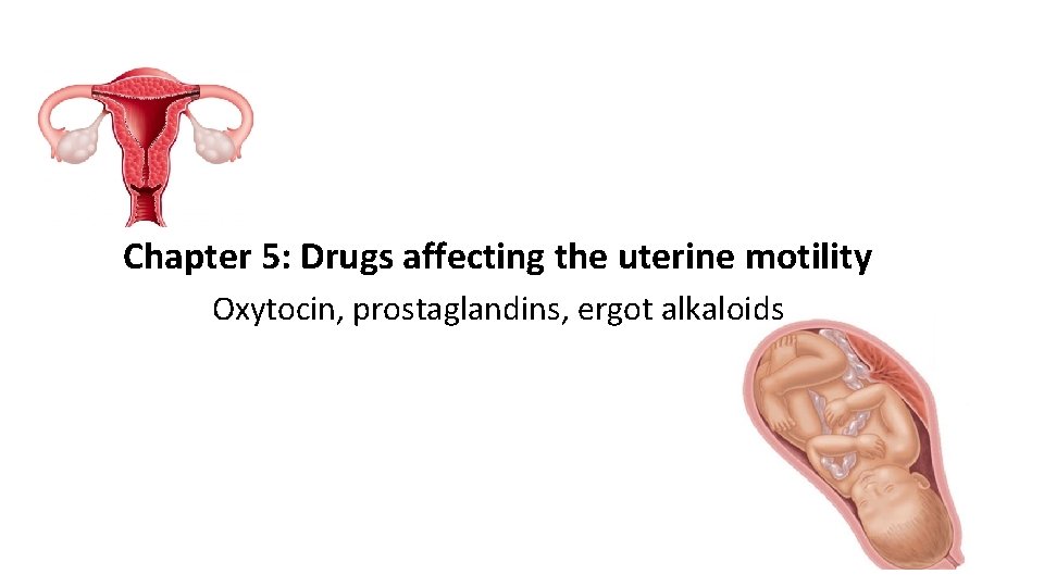 Chapter 5: Drugs affecting the uterine motility Oxytocin, prostaglandins, ergot alkaloids 