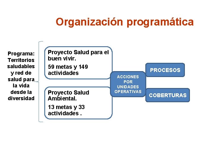 Organización programática Programa: Territorios saludables y red de salud para la vida desde la