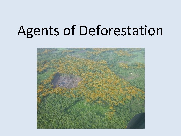 The Drivers of Deforestation and Forest Degradation Different