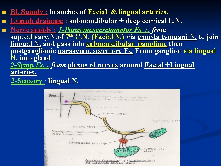 n n n Bl. Supply : branches of Facial & lingual arteries. Lymph drainage