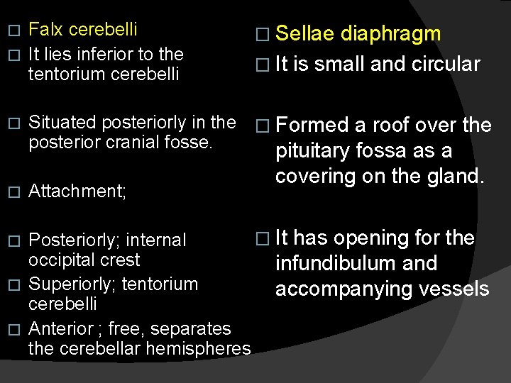 Falx cerebelli � It lies inferior to the tentorium cerebelli � � Sellae diaphragm