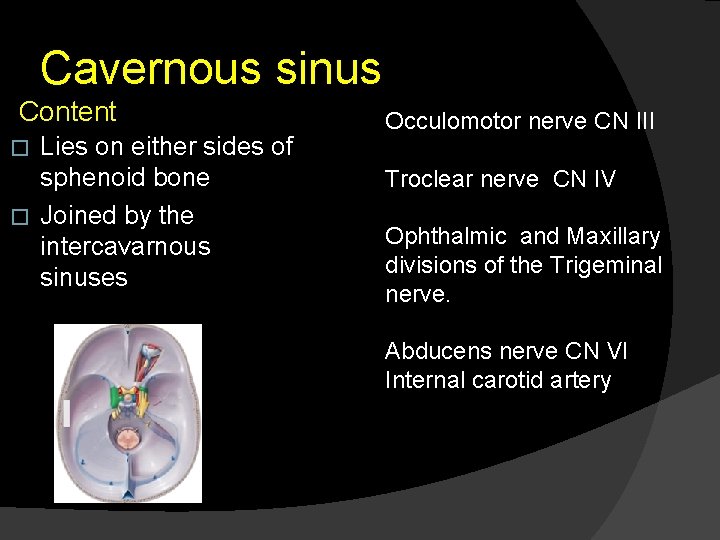 Cavernous sinus Content Lies on either sides of sphenoid bone � Joined by the