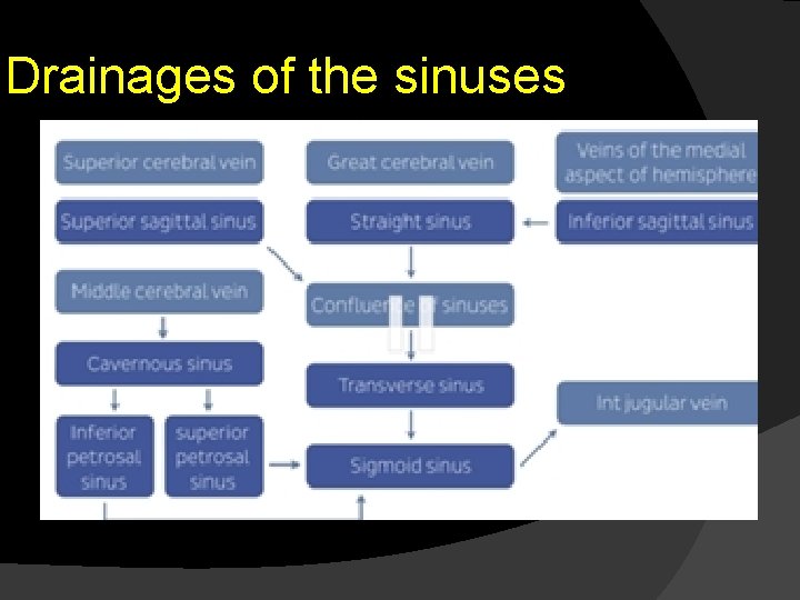 Drainages of the sinuses 