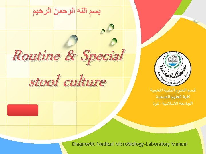  ﺑﺴﻢ ﺍﻟﻠﻪ ﺍﻟﺮﺣﻤﻦ ﺍﻟﺮﺣﻴﻢ Routine & Special stool culture L/O/G/O Diagnostic Medical Microbiology-Laboratory