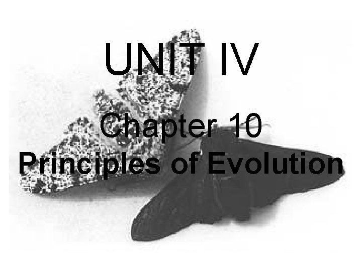 UNIT IV Chapter 10 Principles of Evolution 
