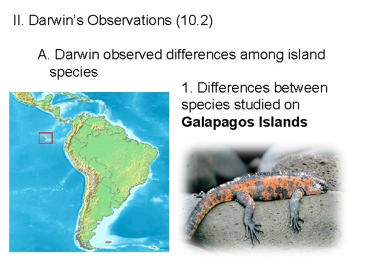 II. Darwin’s Observations (10. 2) A. Darwin observed differences among island species 1. Differences