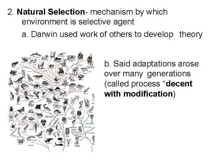 2. Natural Selection- mechanism by which environment is selective agent a. Darwin used work