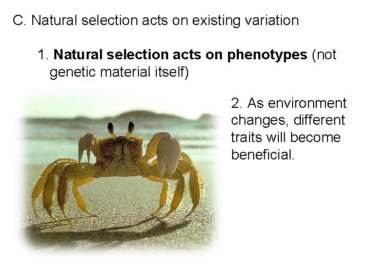 C. Natural selection acts on existing variation 1. Natural selection acts on phenotypes (not