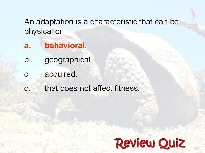 An adaptation is a characteristic that can be physical or a. behavioral. b. geographical.
