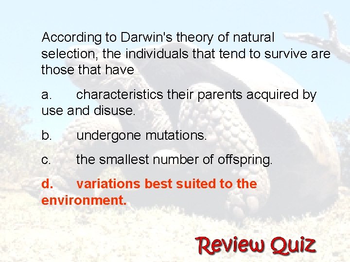According to Darwin's theory of natural selection, the individuals that tend to survive are