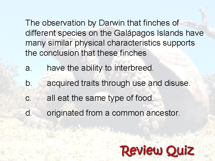 The observation by Darwin that finches of different species on the Galápagos Islands have
