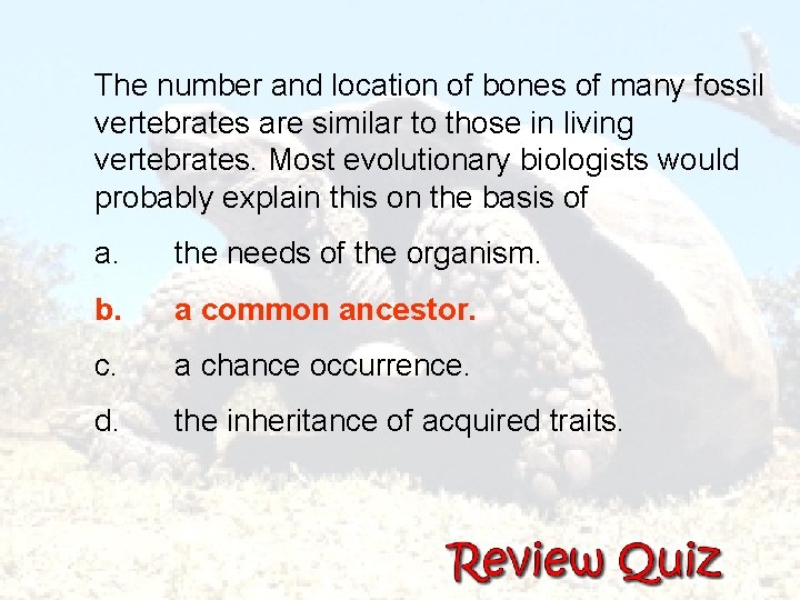 The number and location of bones of many fossil vertebrates are similar to those