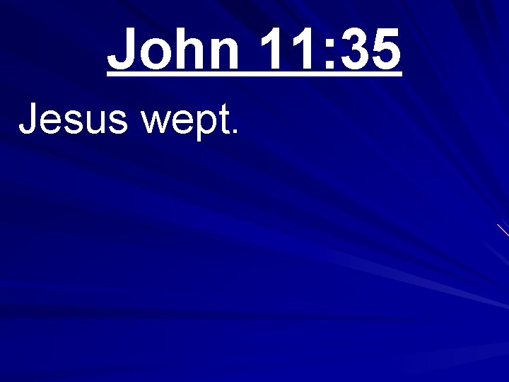 John 11: 35 Jesus wept. 