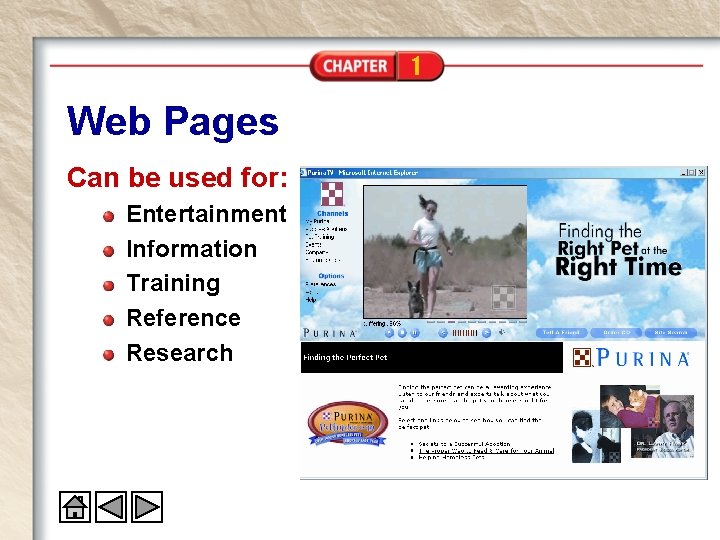 1 Web Pages Can be used for: Entertainment Information Training Reference Research 1 Web Pages Can be used for: Entertainment Information Training Reference Research