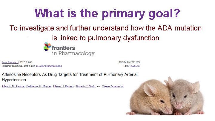 What is the primary goal? To investigate and further understand how the ADA mutation