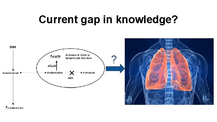 Current gap in knowledge? ? 