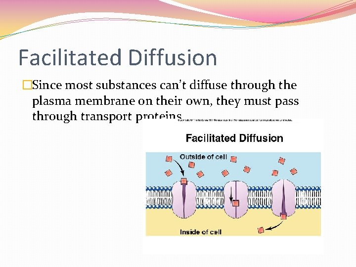 Facilitated Diffusion �Since most substances can’t diffuse through the plasma membrane on their own,