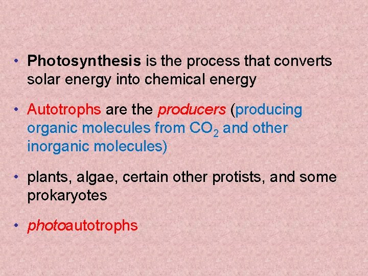 Photosynthesis is the process that converts solar energy