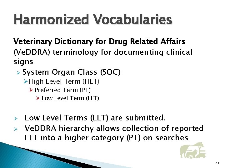 Harmonized Vocabularies Veterinary Dictionary for Drug Related Affairs (Ve. DDRA) terminology for documenting clinical