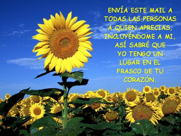 ENVÍA ESTE MAIL A TODAS LAS PERSONAS A QUIEN APRECIAS, INCLUYÉNDOME A MI, ASÍ