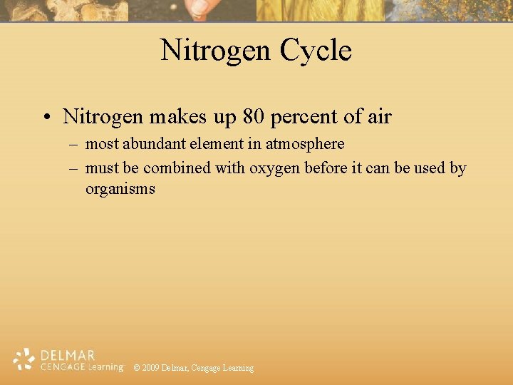 Nitrogen Cycle • Nitrogen makes up 80 percent of air – most abundant element