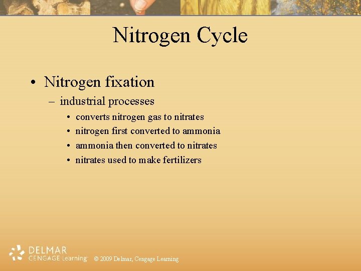 Nitrogen Cycle • Nitrogen fixation – industrial processes • • converts nitrogen gas to