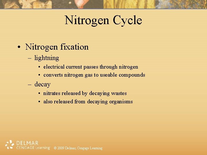 Nitrogen Cycle • Nitrogen fixation – lightning • electrical current passes through nitrogen •